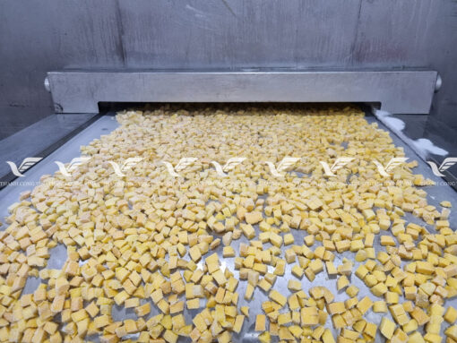 TCVINA IQF Frozen Mango - Image 2