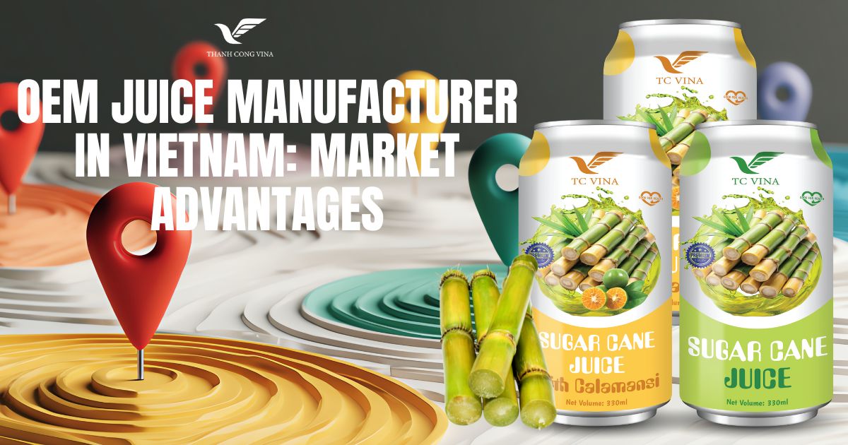 Hs Code 200989 What Is Fruit Juice OEM and How Does It Work? - Thanh Cong Vina