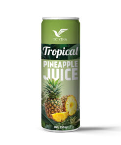 250ml TCVINA Tropical Pineapple Juice Drink